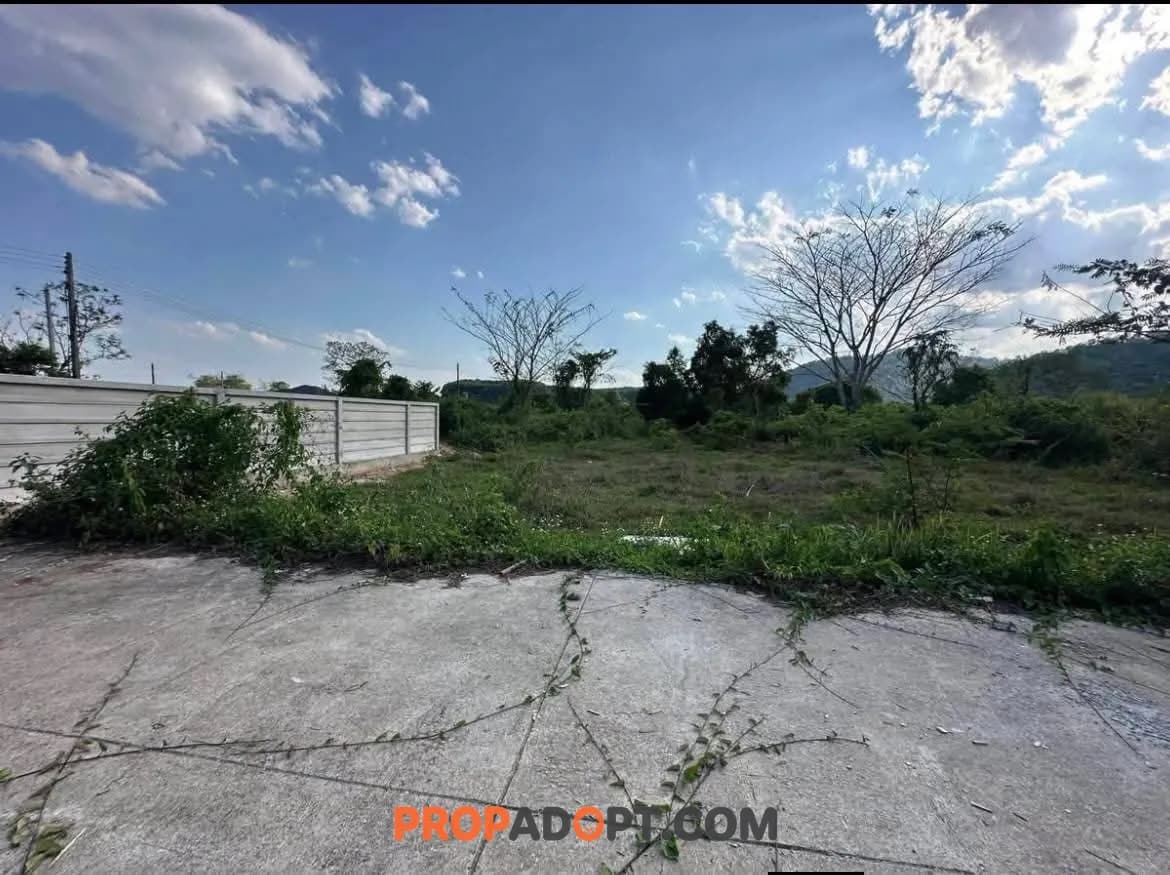 ที่ดินทำเลทอง ตรงข้าม ม.แม่ฟ้าหลวง เชียงราย